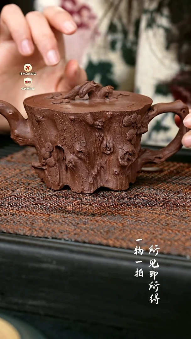 茶壶紫砂全手松桩壶 一物见春
