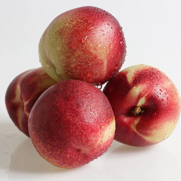 油桃一盒约510g桃子同城送