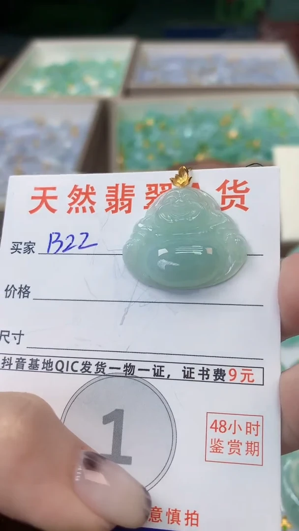 颈饰未镶嵌翡翠天然A货翡翠挂件