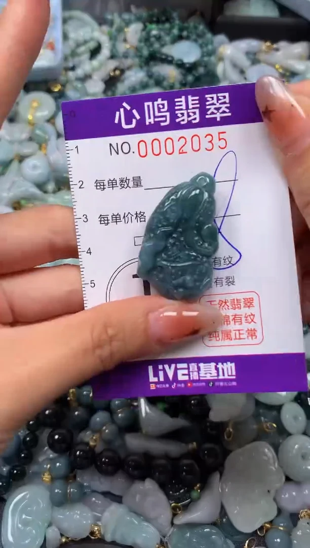 翡翠未镶嵌颈饰闪购002035