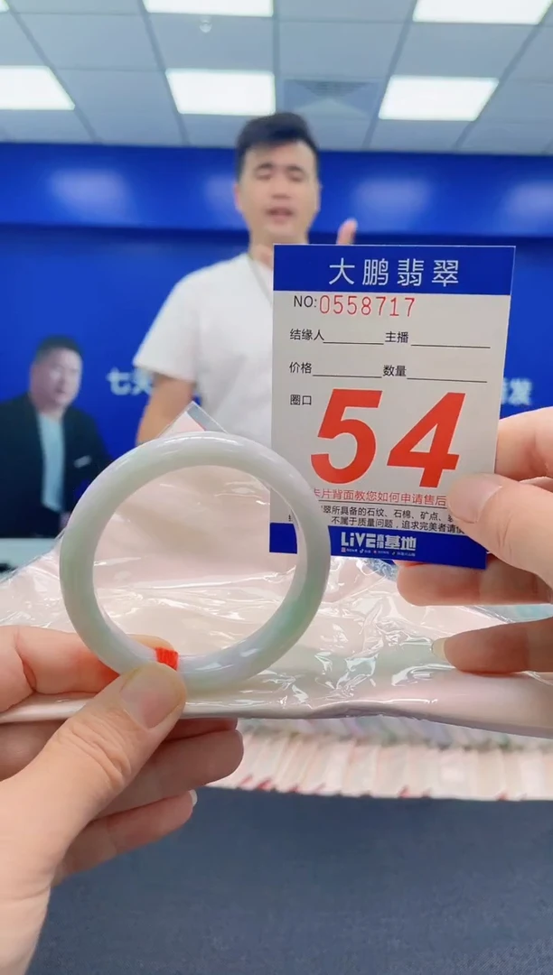 未镶嵌手镯翡翠AAAAAAAAA