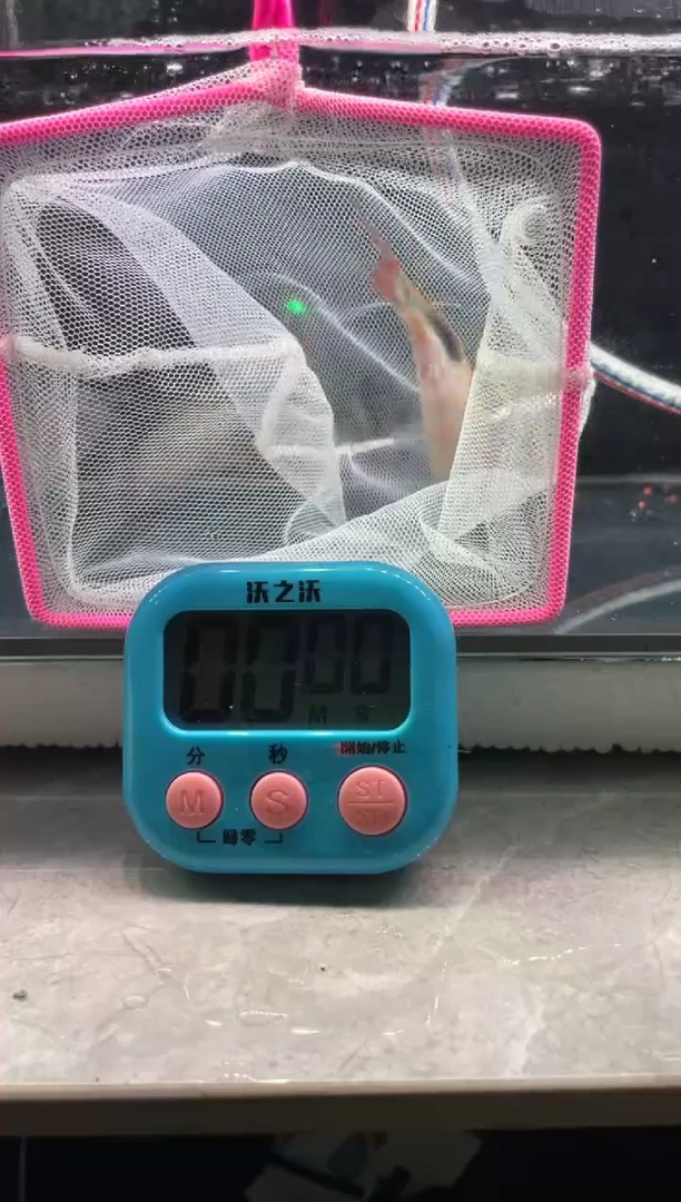 道金系列0元起拍，包邮包损，每次加价5元，3分钟竞拍时间，价高者得