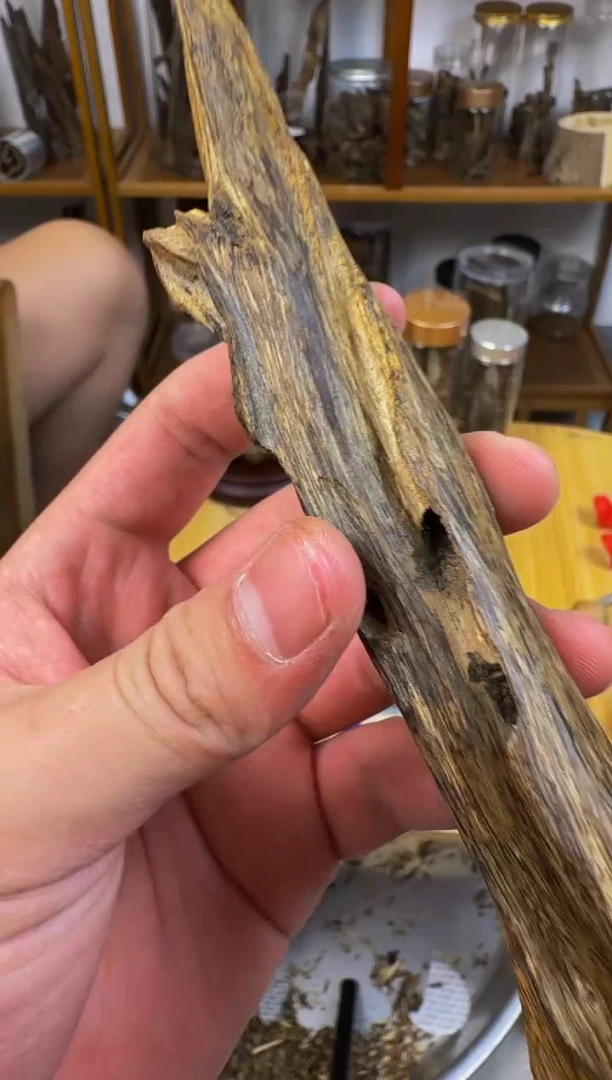 沉香碎屑沉香黄棋树心油 虫漏老料 31克