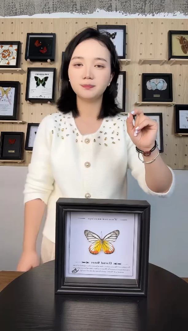 优越斑粉蝶蝴蝶装饰画6寸框