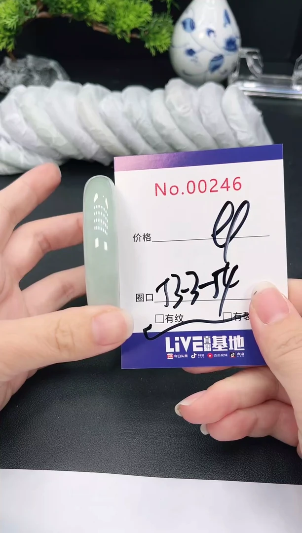 未镶嵌手镯翡翠246
