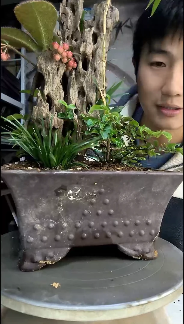 杲*中青园艺一物一拍46