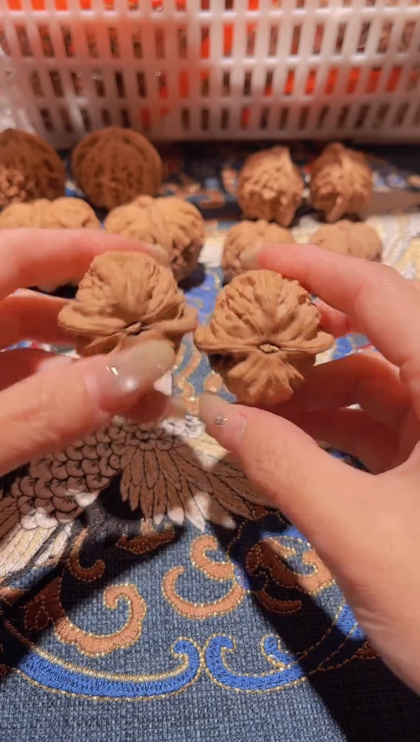 把件文玩核桃007 白狮子37.5