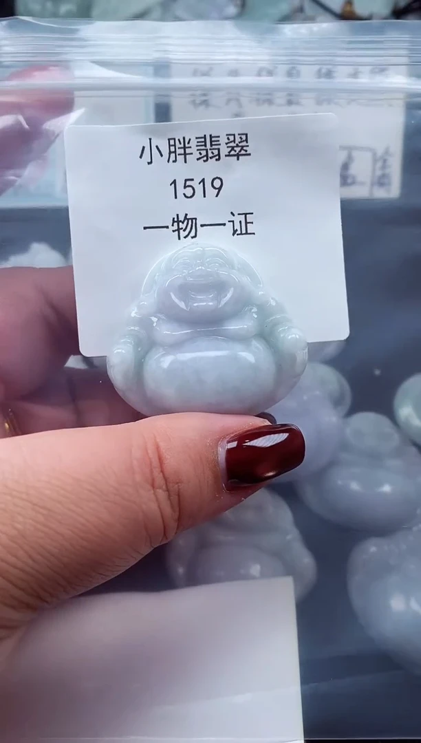 颈饰未镶嵌翡翠缅甸天然A货翡翠1519