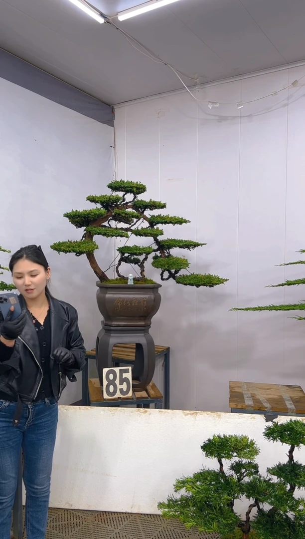 一物一拍一物一拍