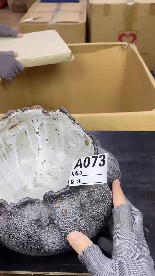 其他多*啊啊啊啊啊啊啊啊啊