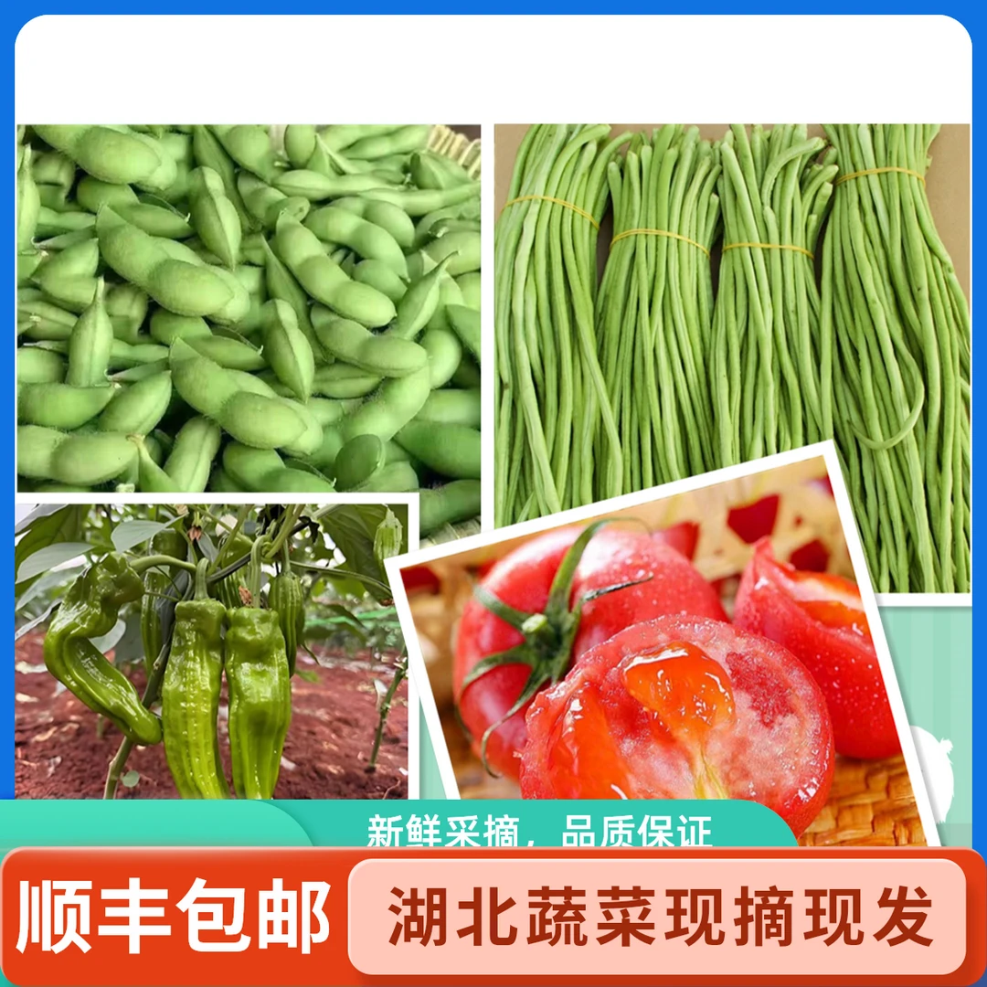 精品蔬菜大组合湖北蔬菜现摘现发