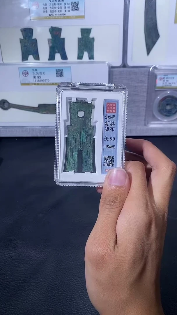 【闪购商品】金琪珍新莽货布一枚