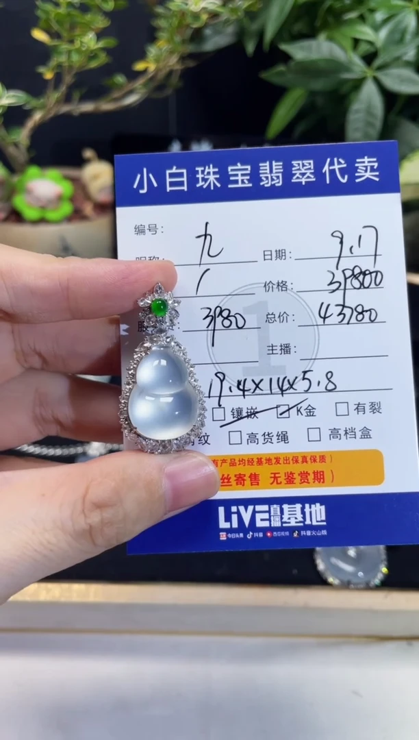 吊坠(不含链)18K金镶嵌翡翠九*吊坠