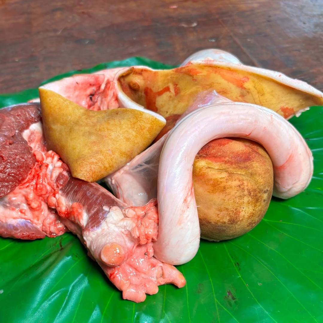 【新鲜牛三宝】贵州本地小黄牛牛肉黄牛生鲜牛脚牛头卤牛肉牛瘪牛肉