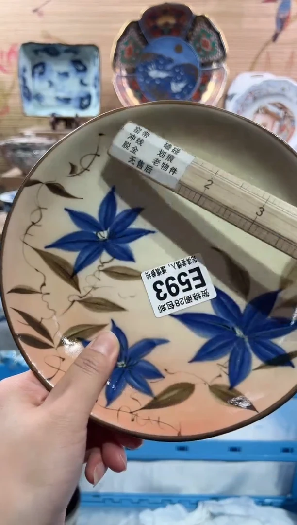 【闪购商品】瓷片当天满28米包邮E593