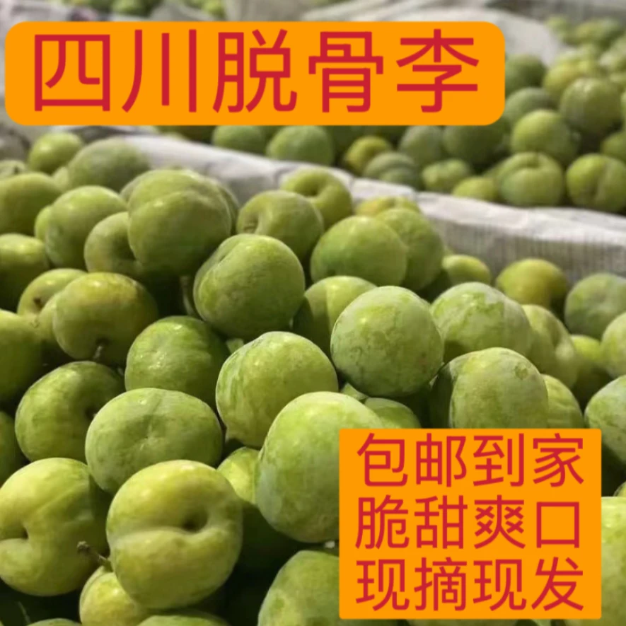新鲜当季脱骨脆甜四川达州青脆李