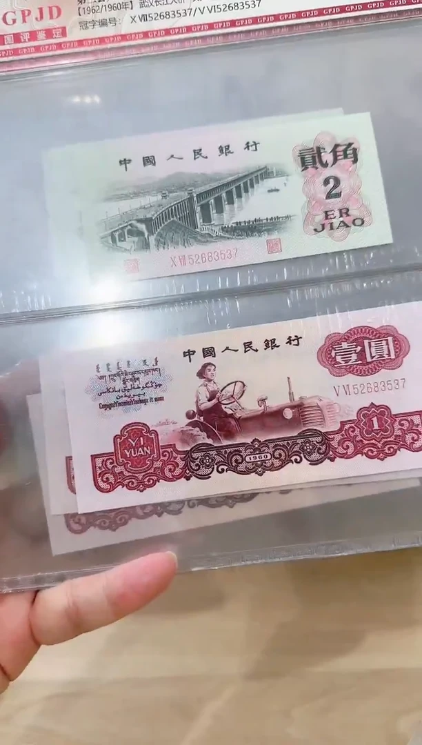 国评-大桥拖拉机双胞胎