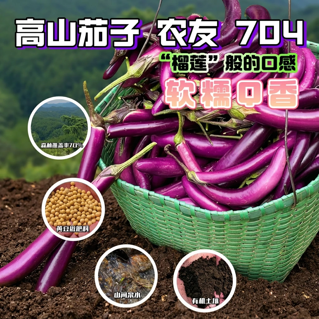 新鲜茄子长茄杭茄福建漳州农家应季蔬菜现摘蔬菜现摘现发薄皮软糯