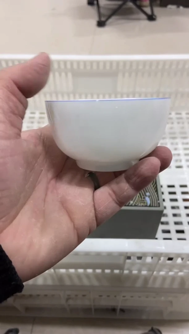 杯子瓷无运费险有瑕疵的摄影的产品有使用过的痕迹有点脏介意勿拍