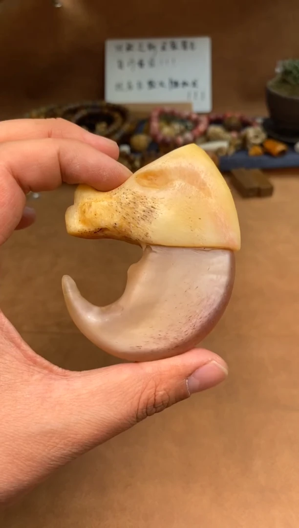 【闪购商品】牛骨其他杂件010-仿钩子吊坠