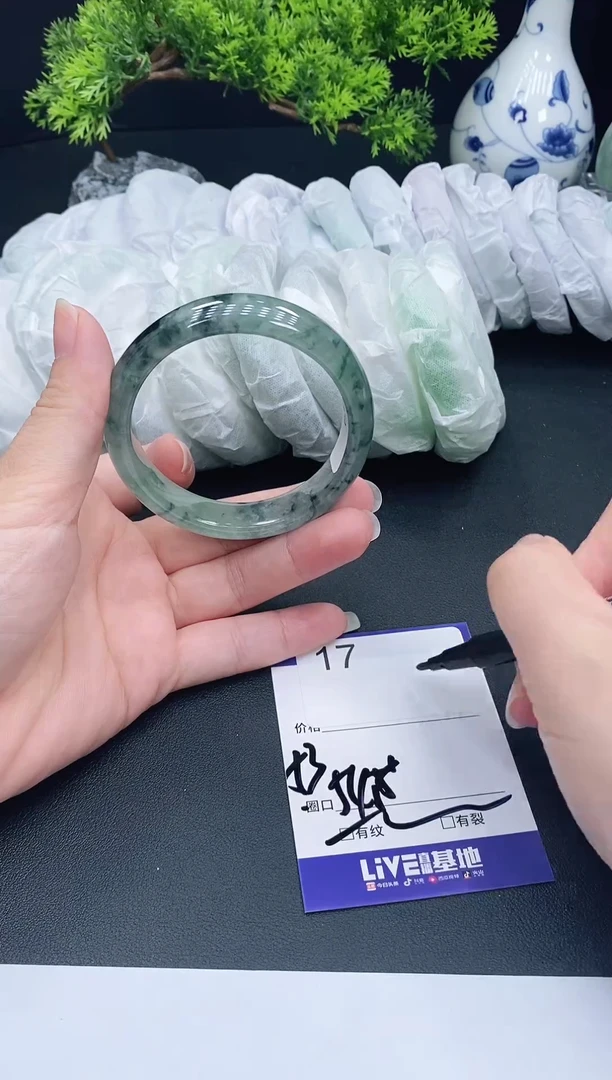 未镶嵌手镯翡翠17