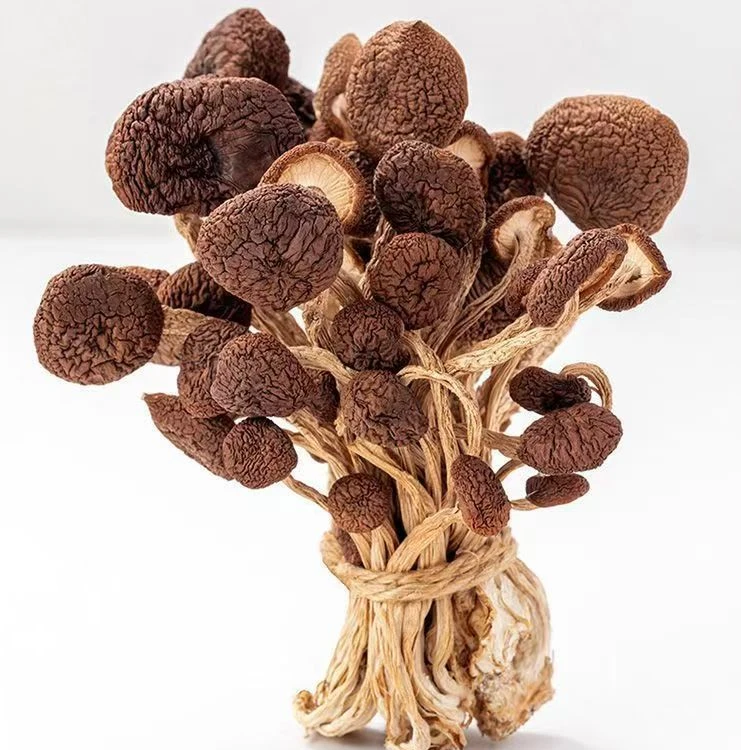 【茶树菇】富硒茶树菇原汁原味纯干货高钙高蛋白炒菜煲汤佳品