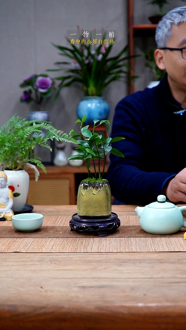 完全开放娃****哈竹柏426