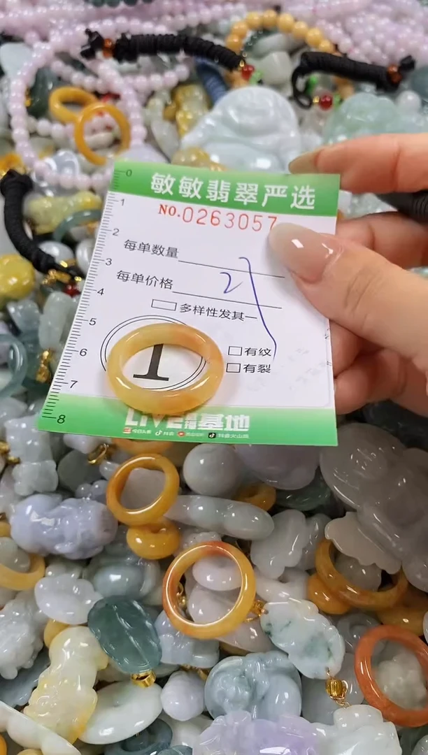 翡翠未镶嵌颈饰闪购0263057