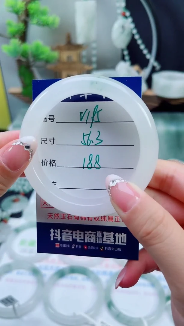 未镶嵌手镯石英质玉（天山翠）195