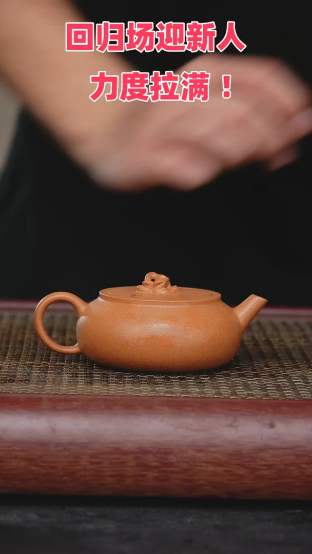【闪购商品】紫砂茶壶紫砂茶壶