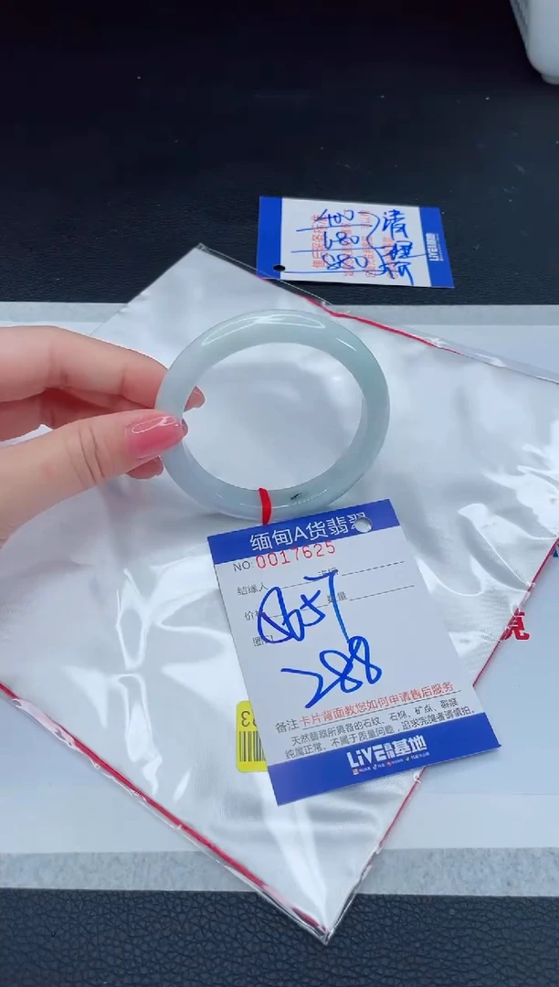 未镶嵌手镯翡翠2