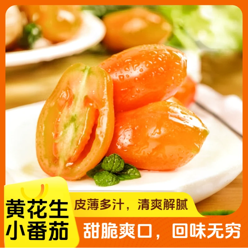 【黄花生小番茄西红柿】杨小番严选脆甜爽口花生柿子顺丰包邮番茄同城配内蒙古自治区