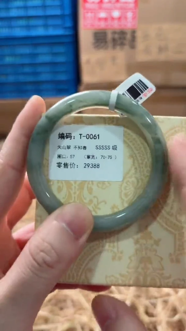 未镶嵌手镯石英质玉T-0061