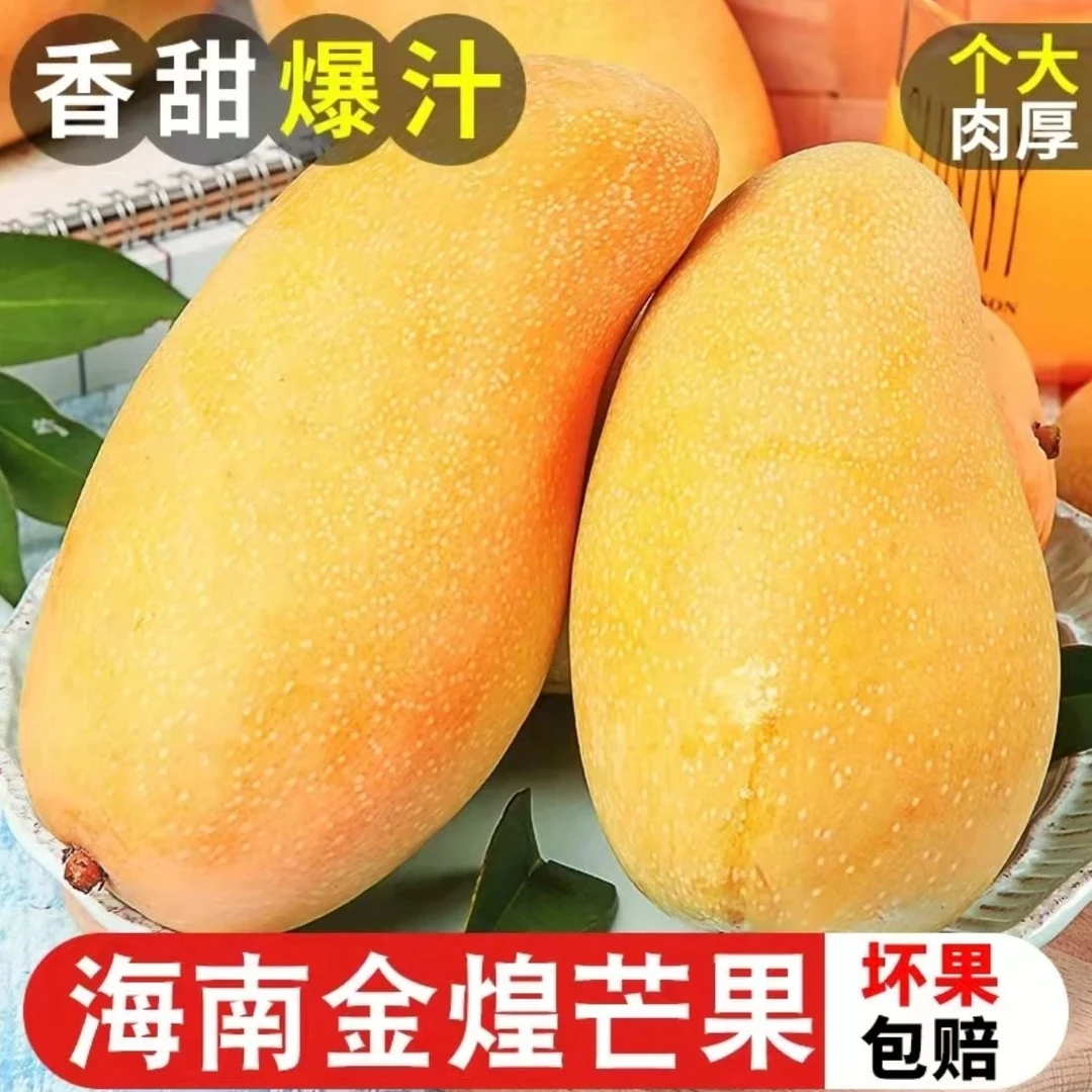 海南金煌芒大芒果当季新鲜水果香甜多汁产地直发