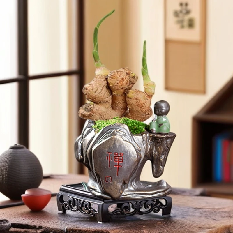 四季禄根盆栽带芽好养生姜苗植物禅意摆件客厅室内办公室桌面绿植