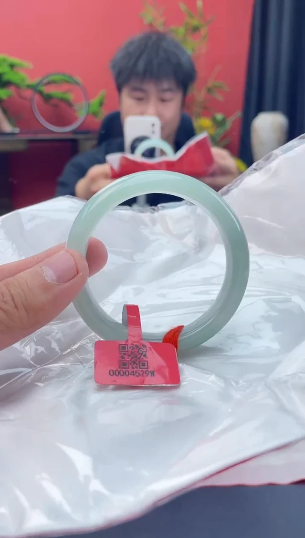 未镶嵌手镯翡翠4