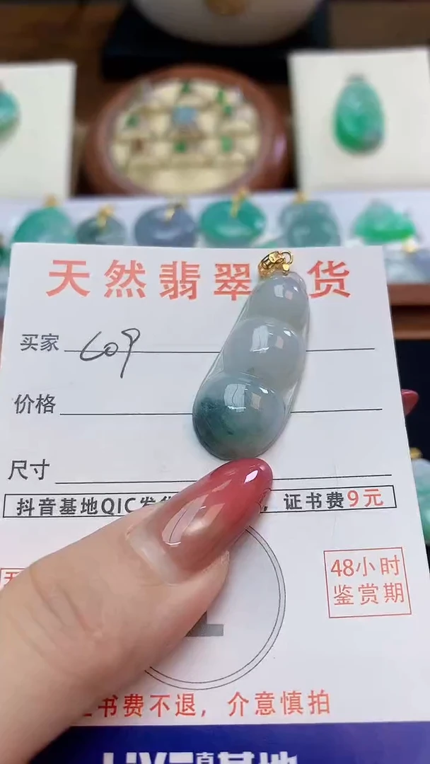 颈饰未镶嵌翡翠天然A货翡翠挂件