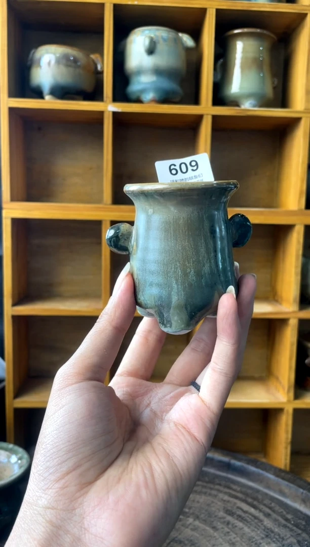 609【多肉花盆多肉盆】