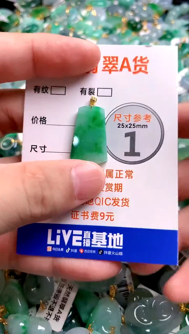 颈饰18K金镶嵌翡翠0113781153