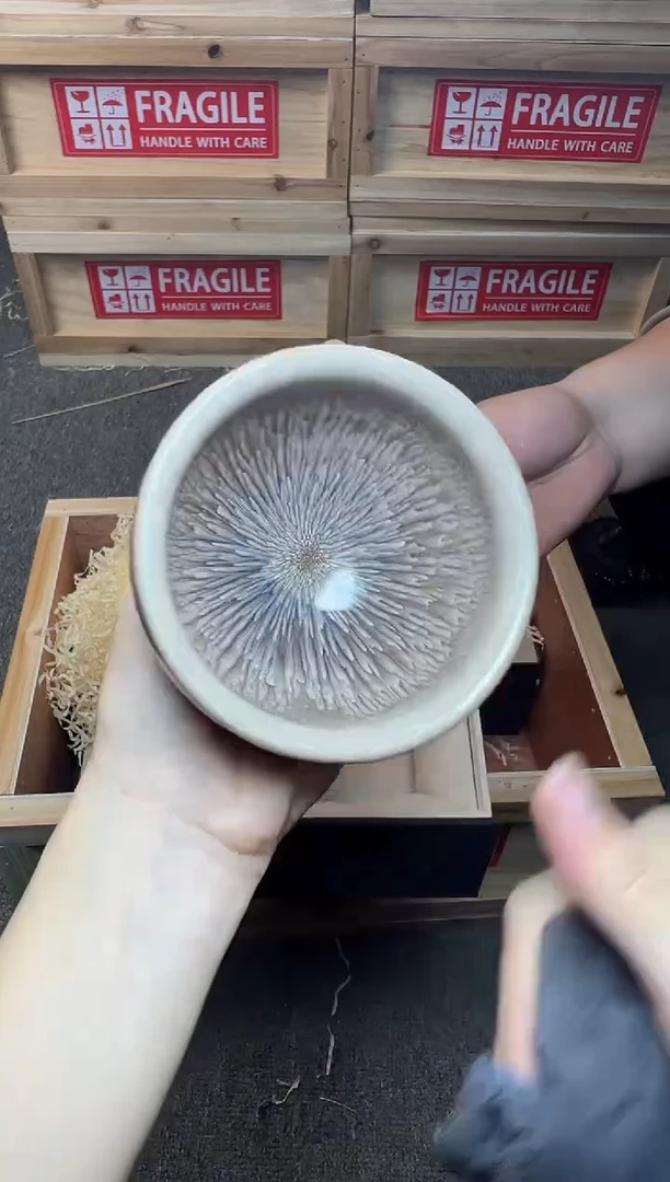 茶盏银丝水芽