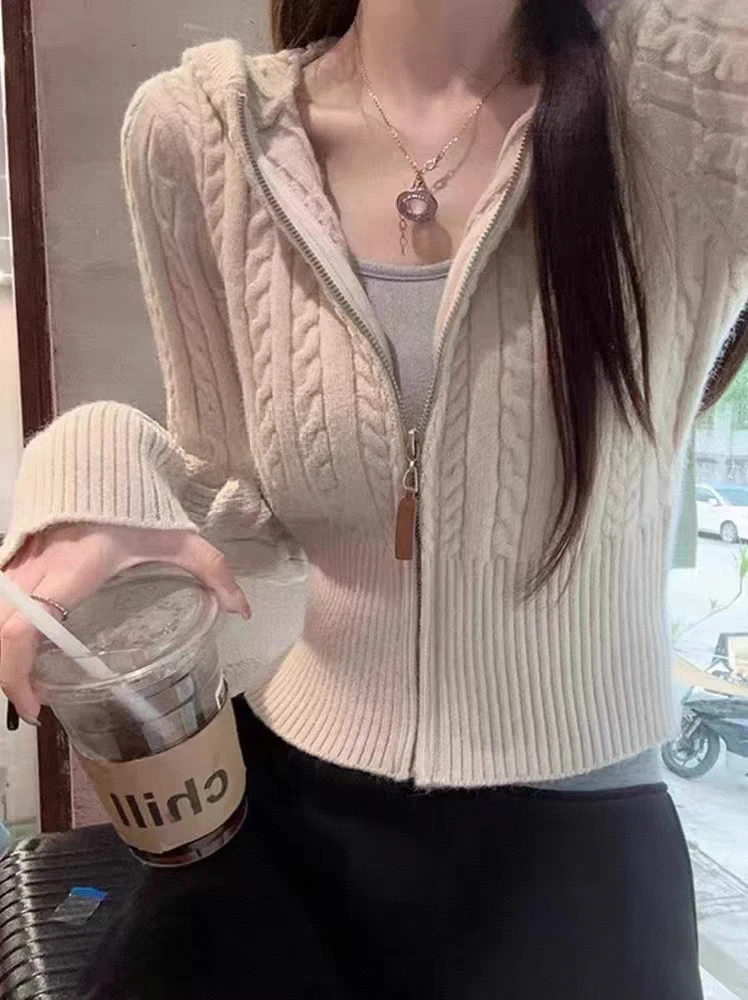 温柔气质拉链连帽麻花毛衣外套2025秋冬百搭显瘦叠穿针织开衫女