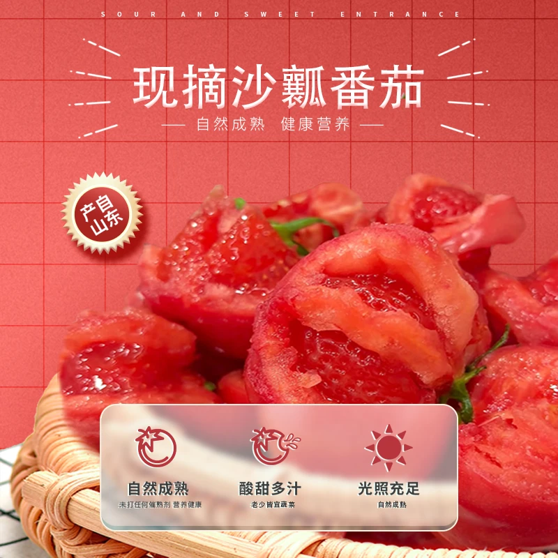 潍坊露天沙瓤西红柿现摘新鲜自然熟生吃水果番茄