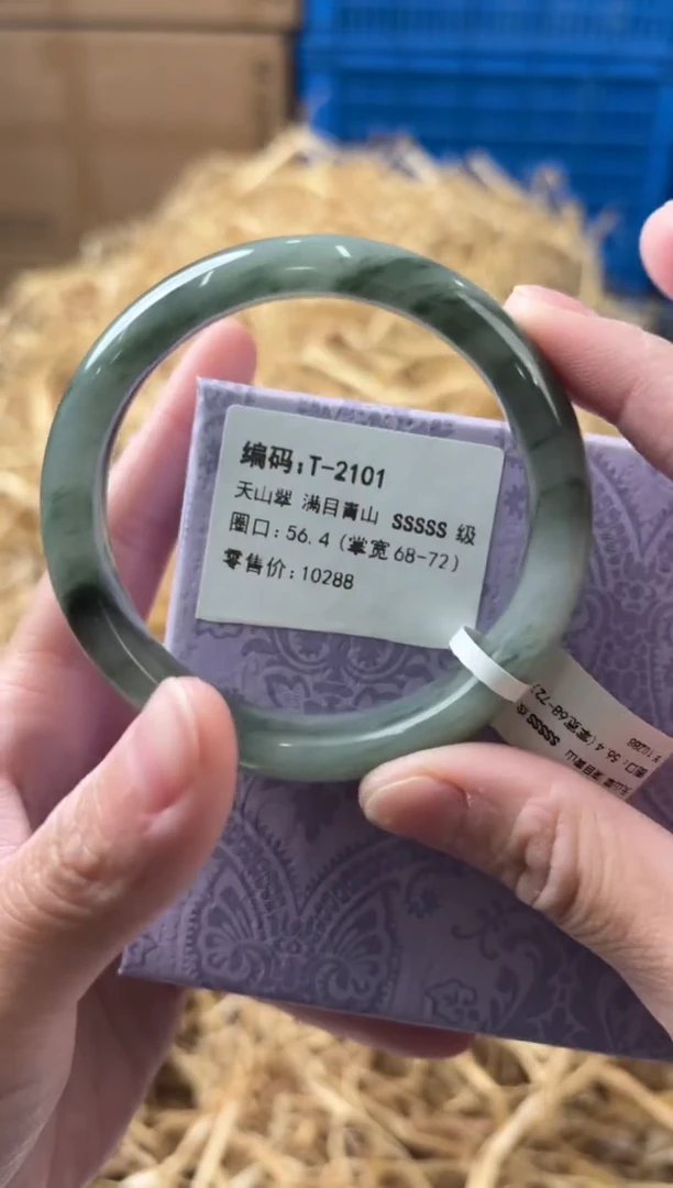 未镶嵌手镯石英质玉T-2101