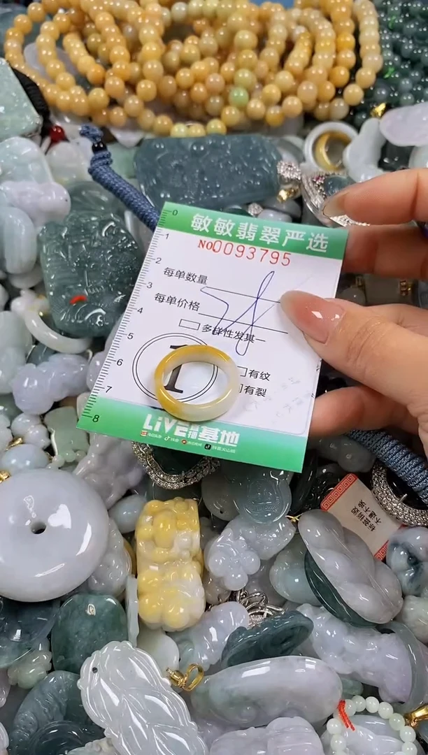 【闪购商品】翡翠颈饰未镶嵌闪购0093795