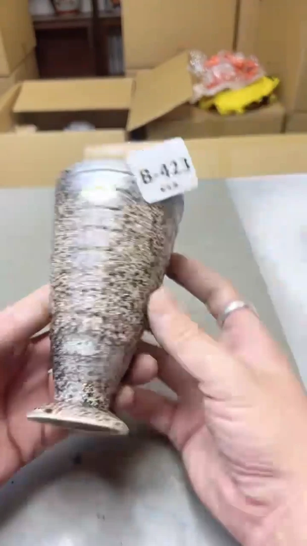 【闪购商品】瓷片423聚宝缘二号店