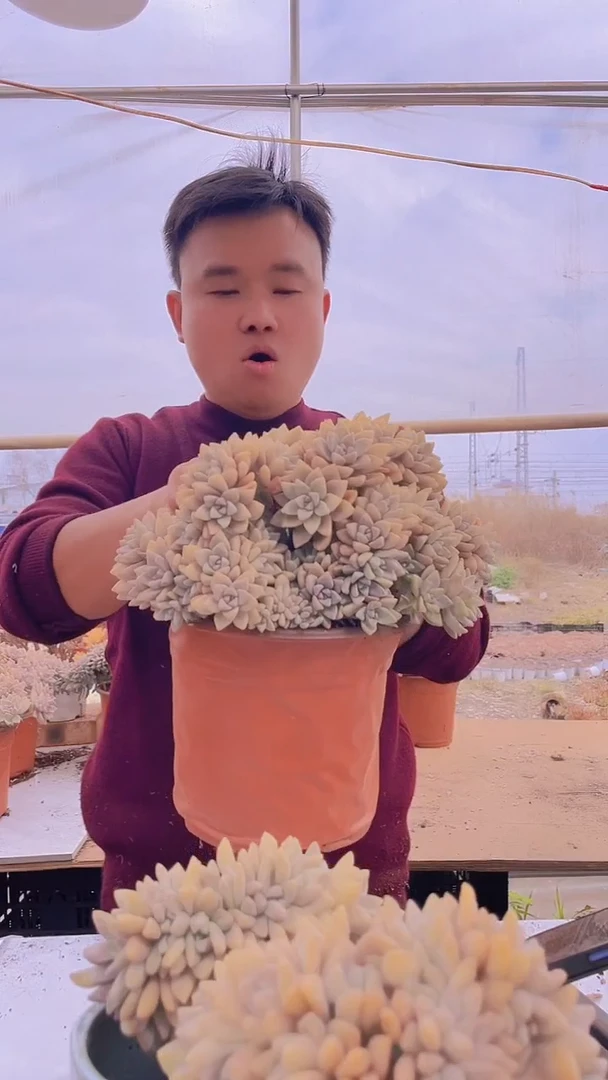 【闪购商品】缀化213