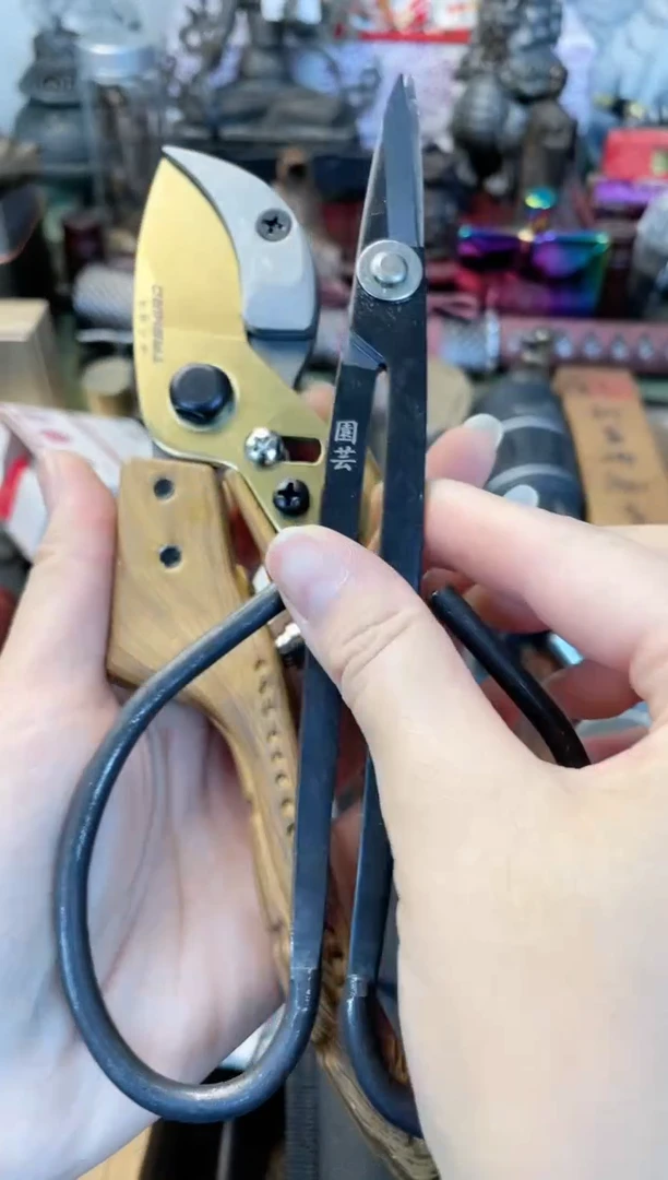 瓷片2jian晓魏甄宝阁品质保证