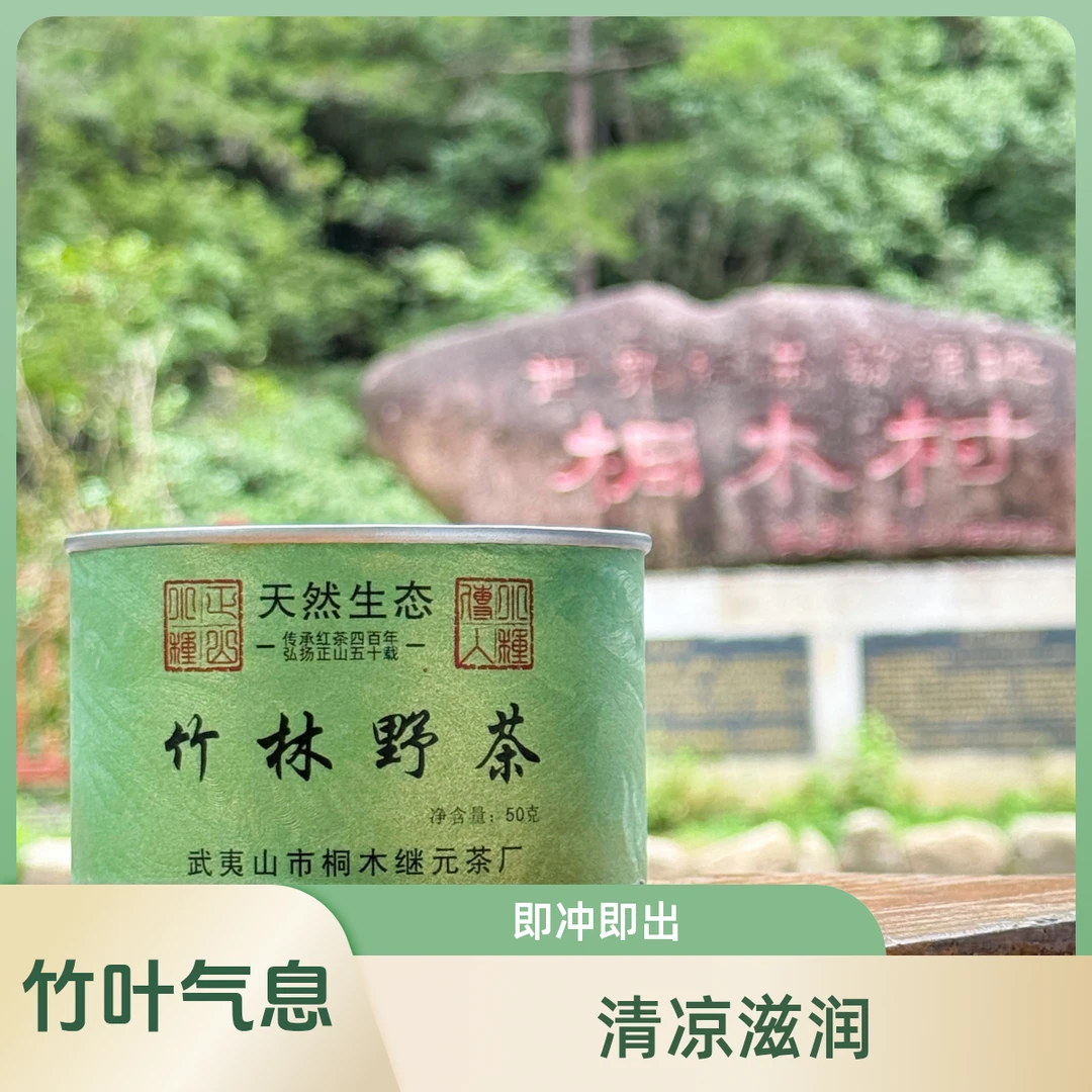 【继元】竹林野茶·武夷山桐木关原生红茶正山小种原产红茶茶叶50g