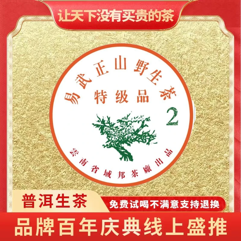【琴姐东莞茶博会专场】普大师特极品易武正山野生茶云南普洱生茶