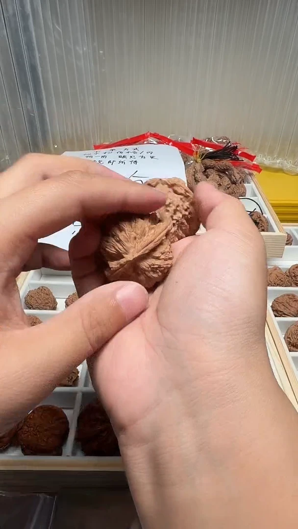 把件文玩核桃鑫*44白狮子